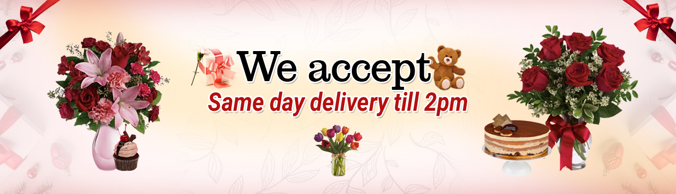 Gift Delivery New Zealand | Free Shipping | Send Online Same Day Cakes